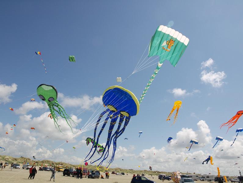 Fanø 2009 52.jpg